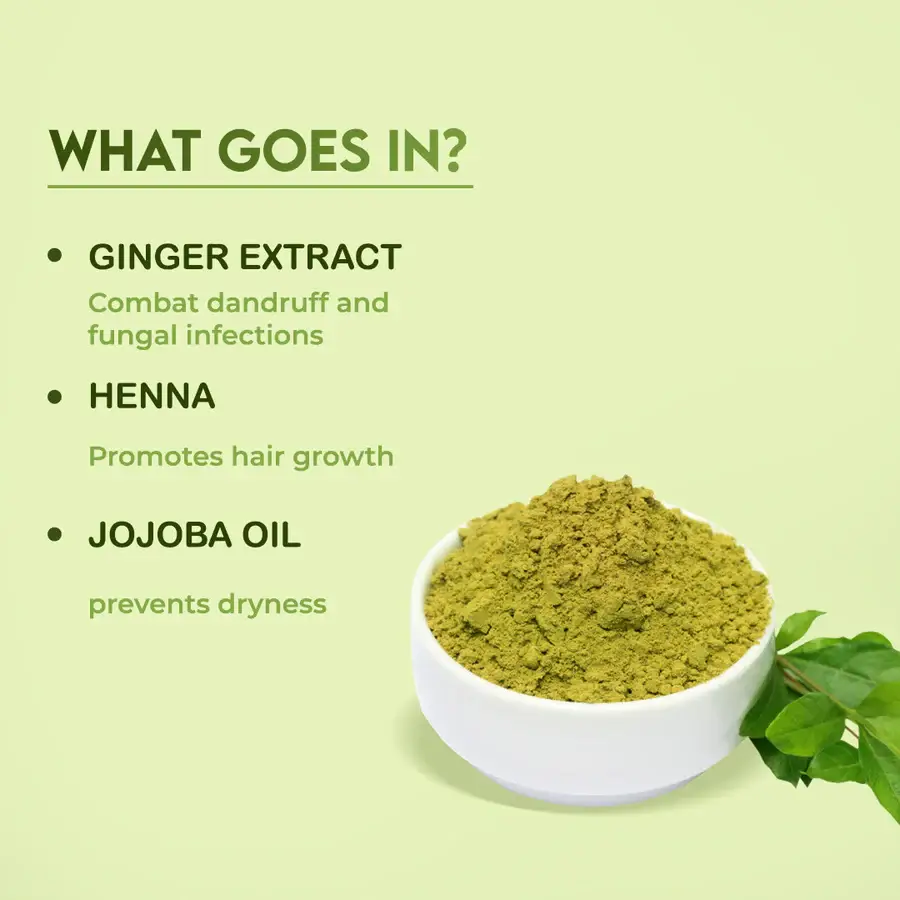 Jovees Mehandi/Henna Powder | Controls Hair Fall & Repairs Damaged Hair (BUY 3 GET 1 FREE) view 2