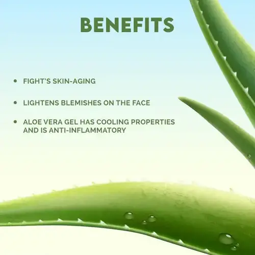 Jovees Aloe Vera Moisturising Lotion With Sandalwood - 200 ml view 2