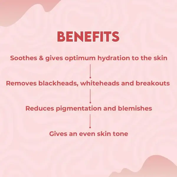 Jovees Alpha Arbutin & Niacinamide Anti Pigmentation & Blemishes Facial Kit  view 3
