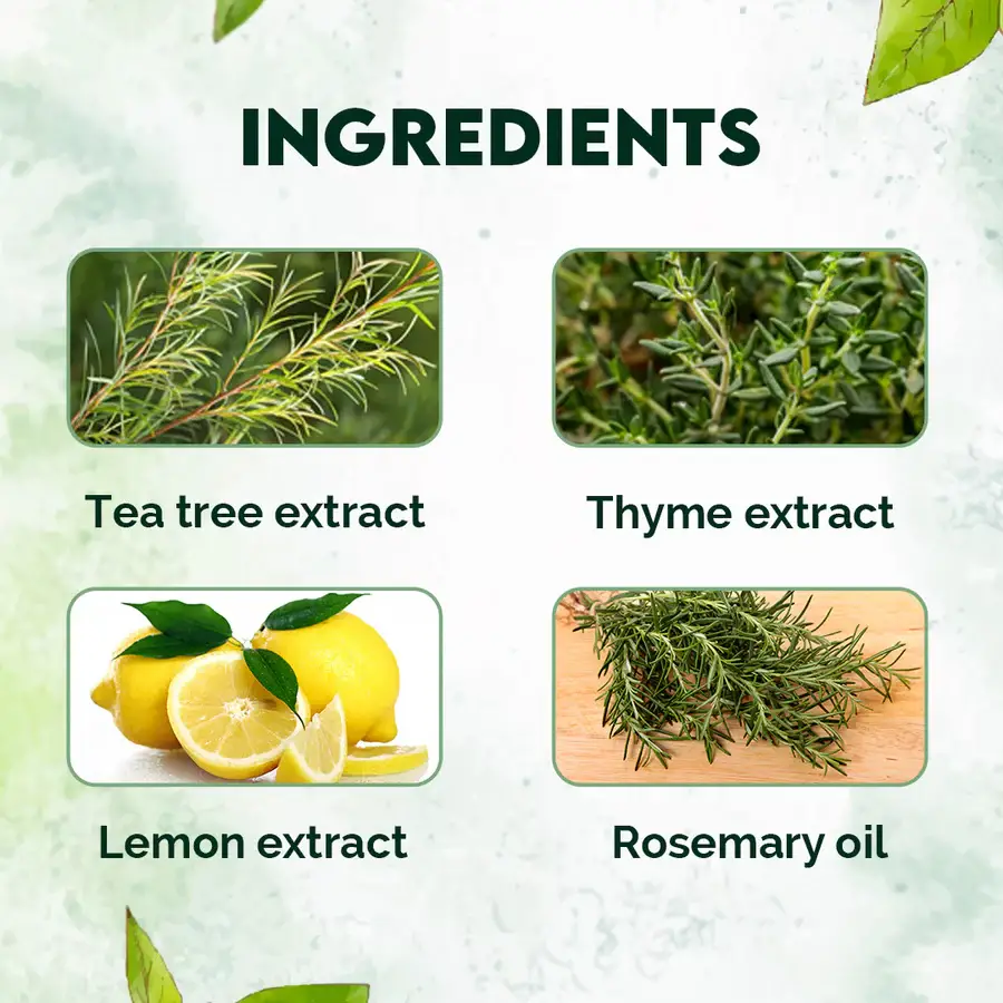 Jovees Thyme & Tea Tree Anti Dandruff Shampoo - 500 ml view 3