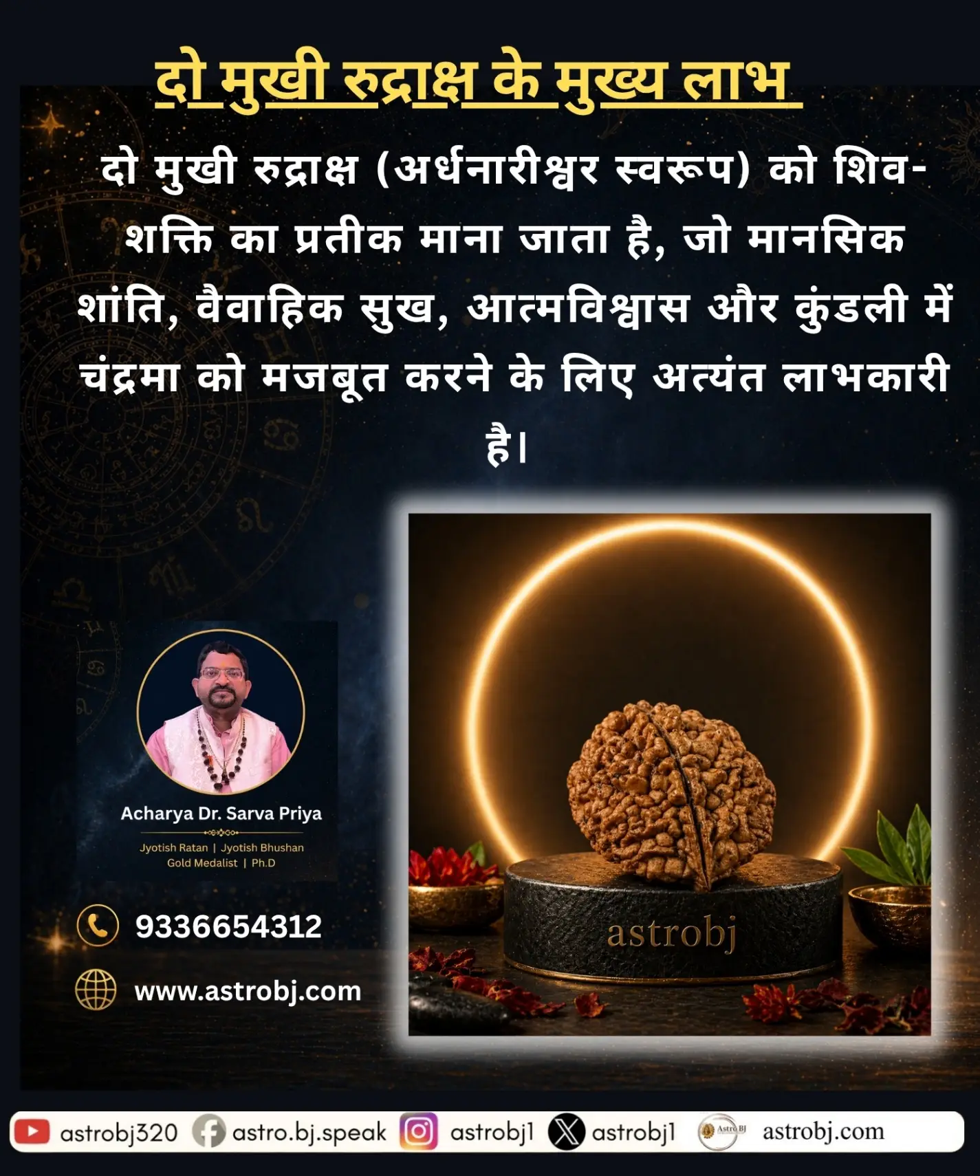 2 Mukhi Rudraksha 'Indian' view 2