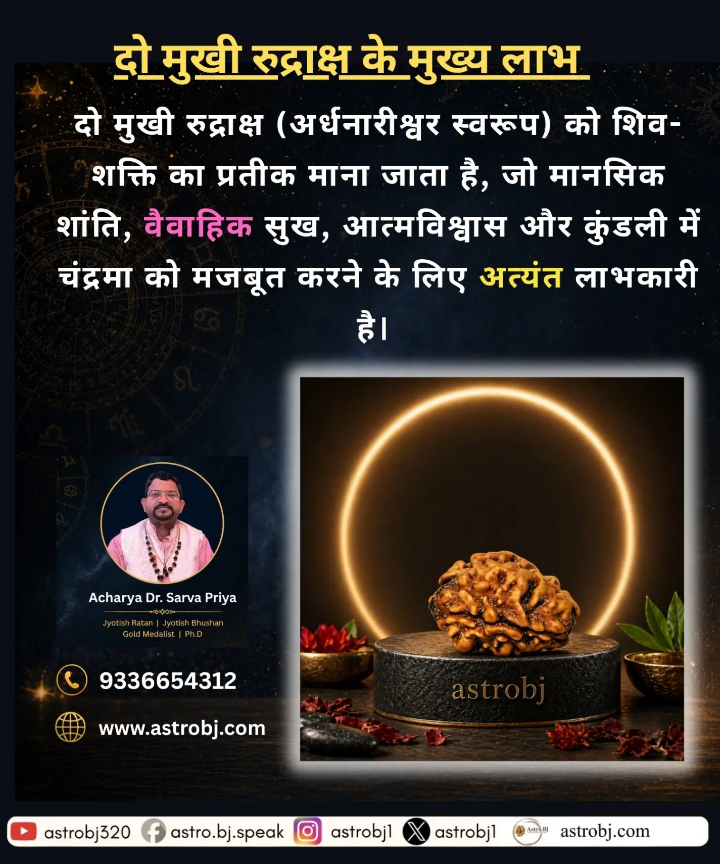 2 Mukhi Rudraksha 'Haridwar' view 2