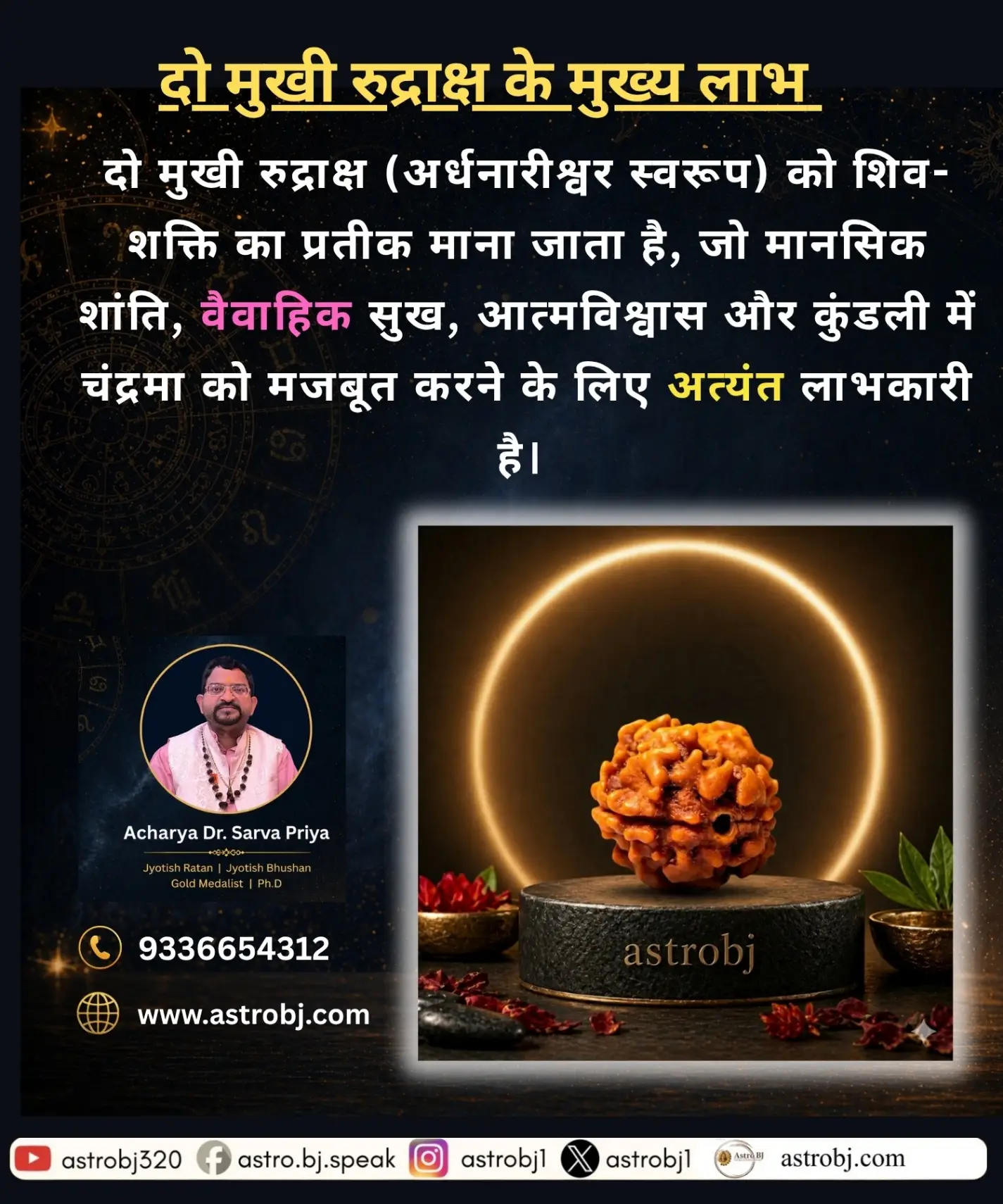 2 Mukhi Rudraksha 'Nepali' view 2