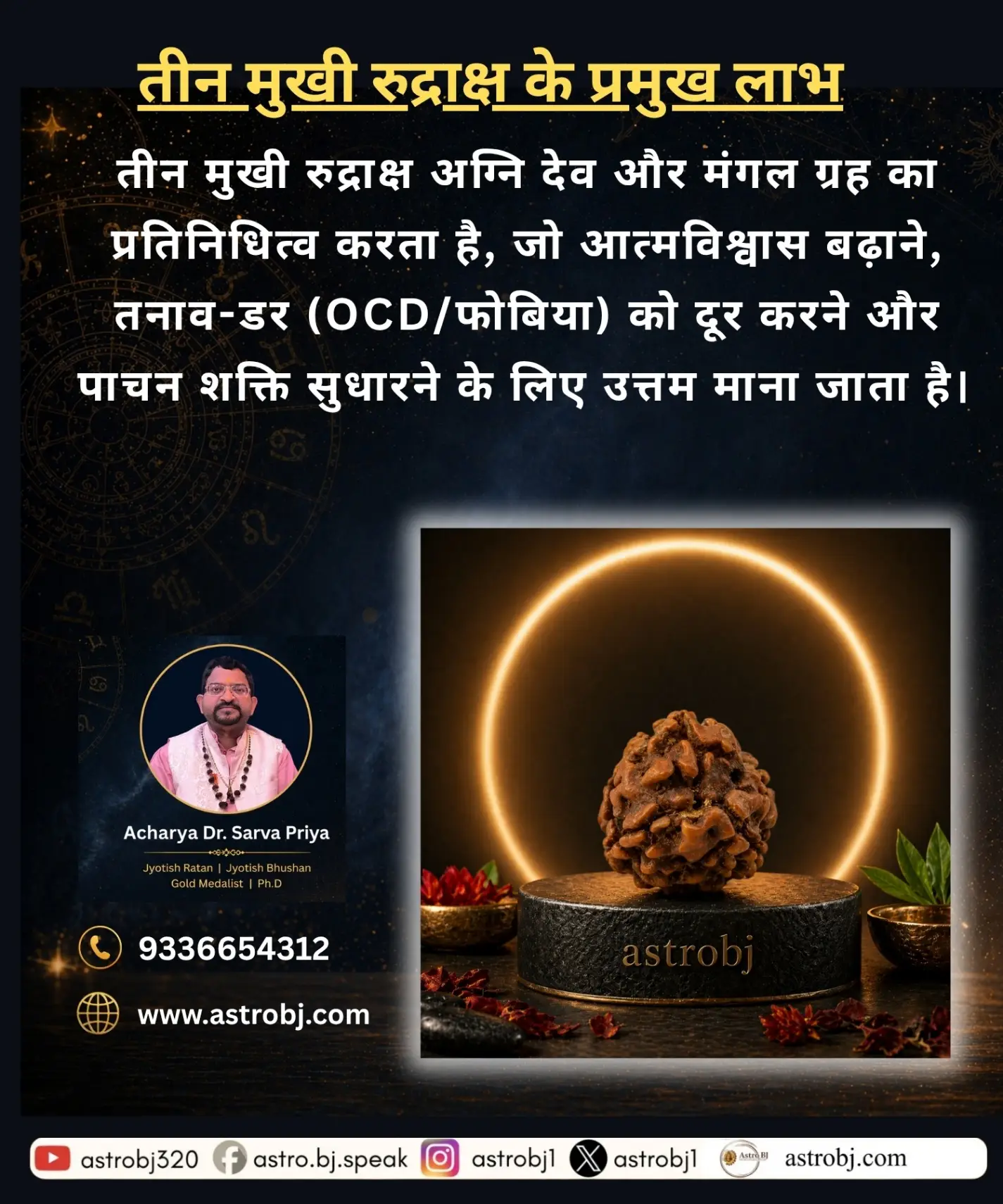 3 Mukhi Rudraksha 'Indian' view 2