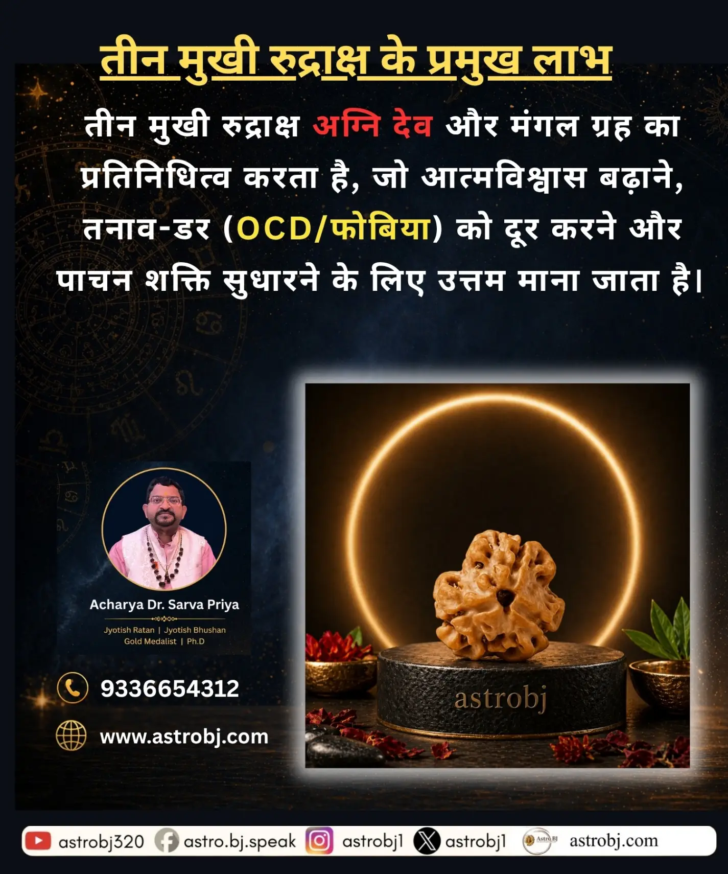 3 Mukhi Rudraksha 'Nepali' view 2