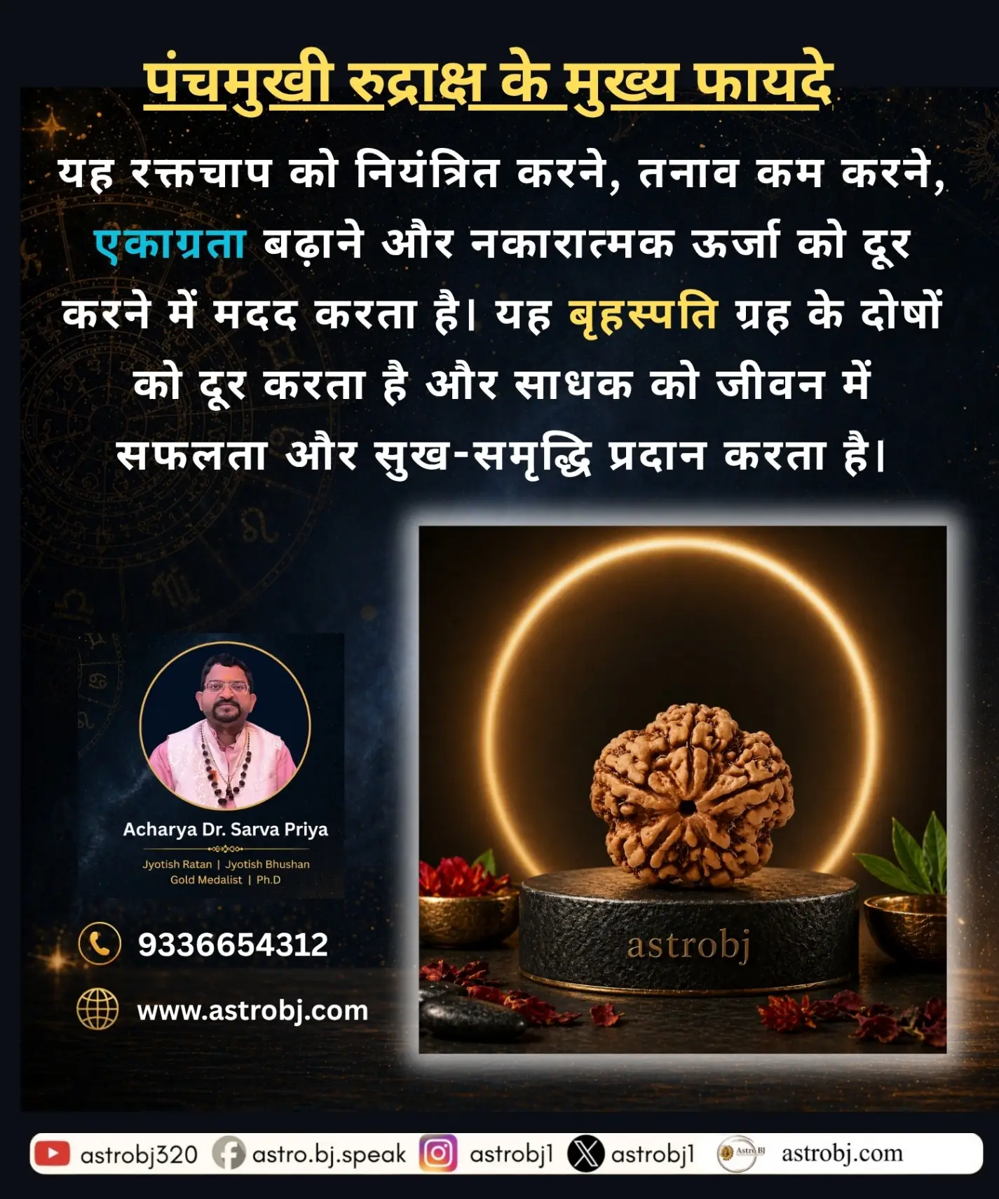 5 Mukhi Rudraksha 'Nepali' view 2