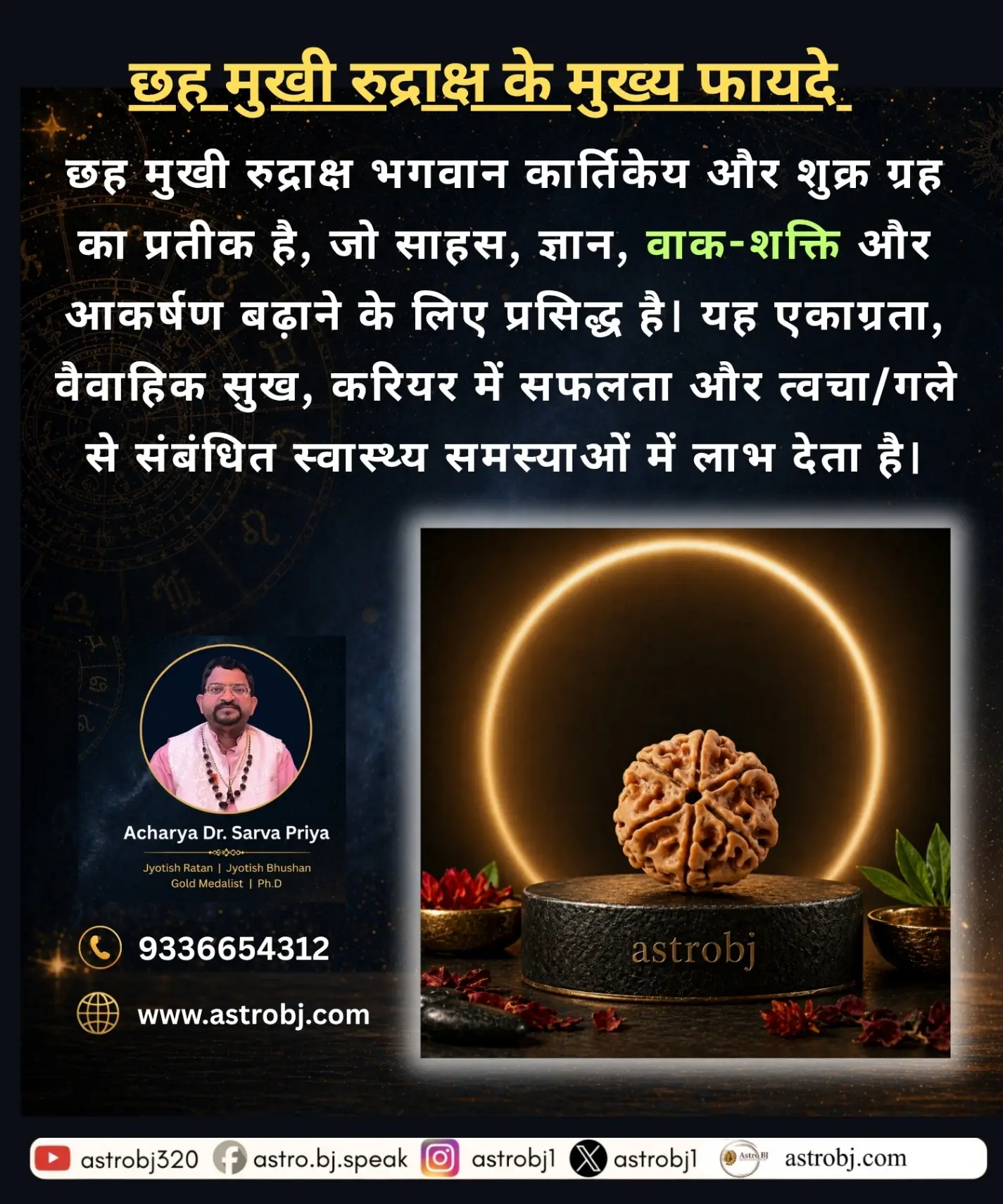 6 Mukhi Rudraksha 'Nepali' view 2