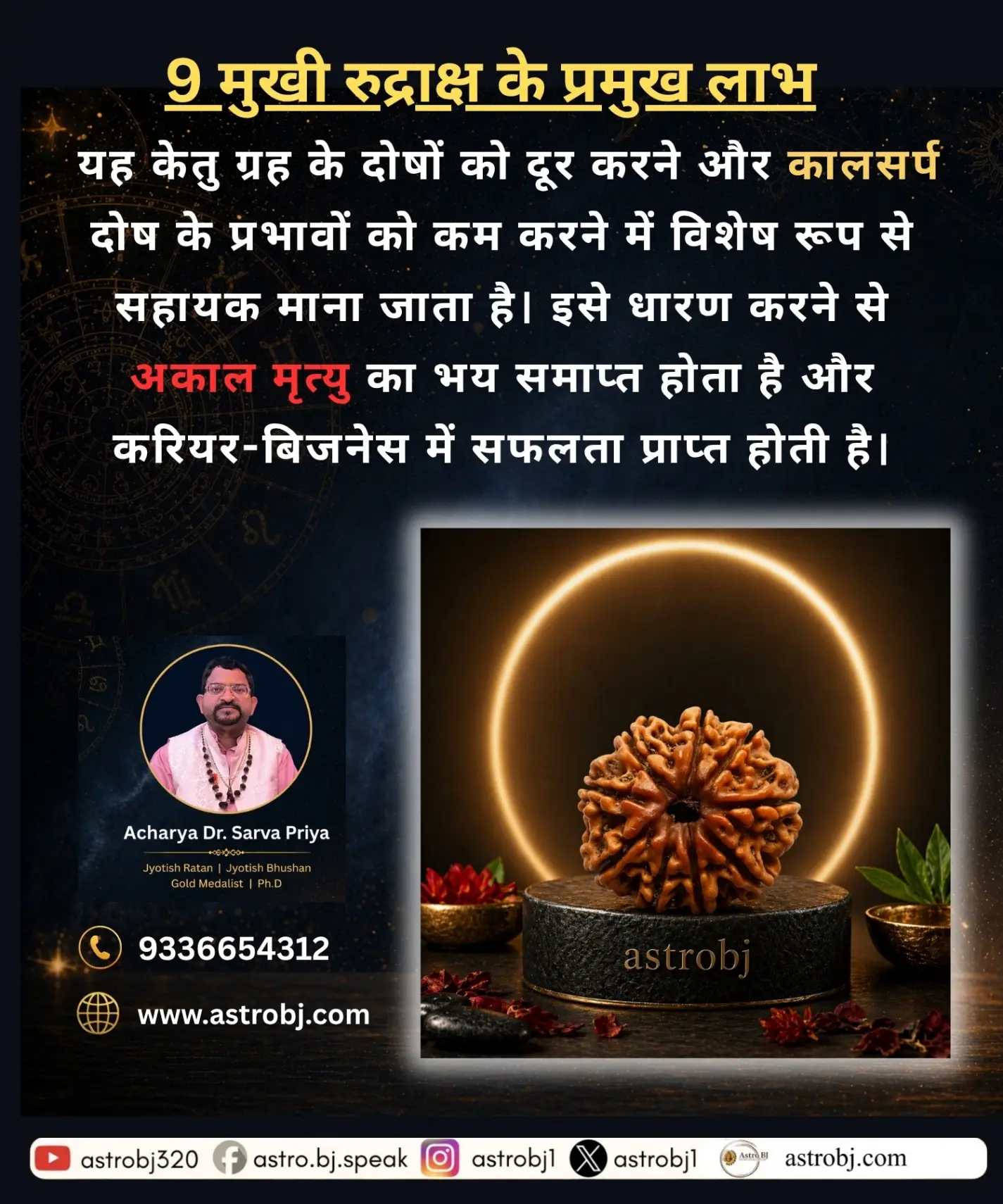 9 Mukhi Rudraksha 'Nepali' view 2
