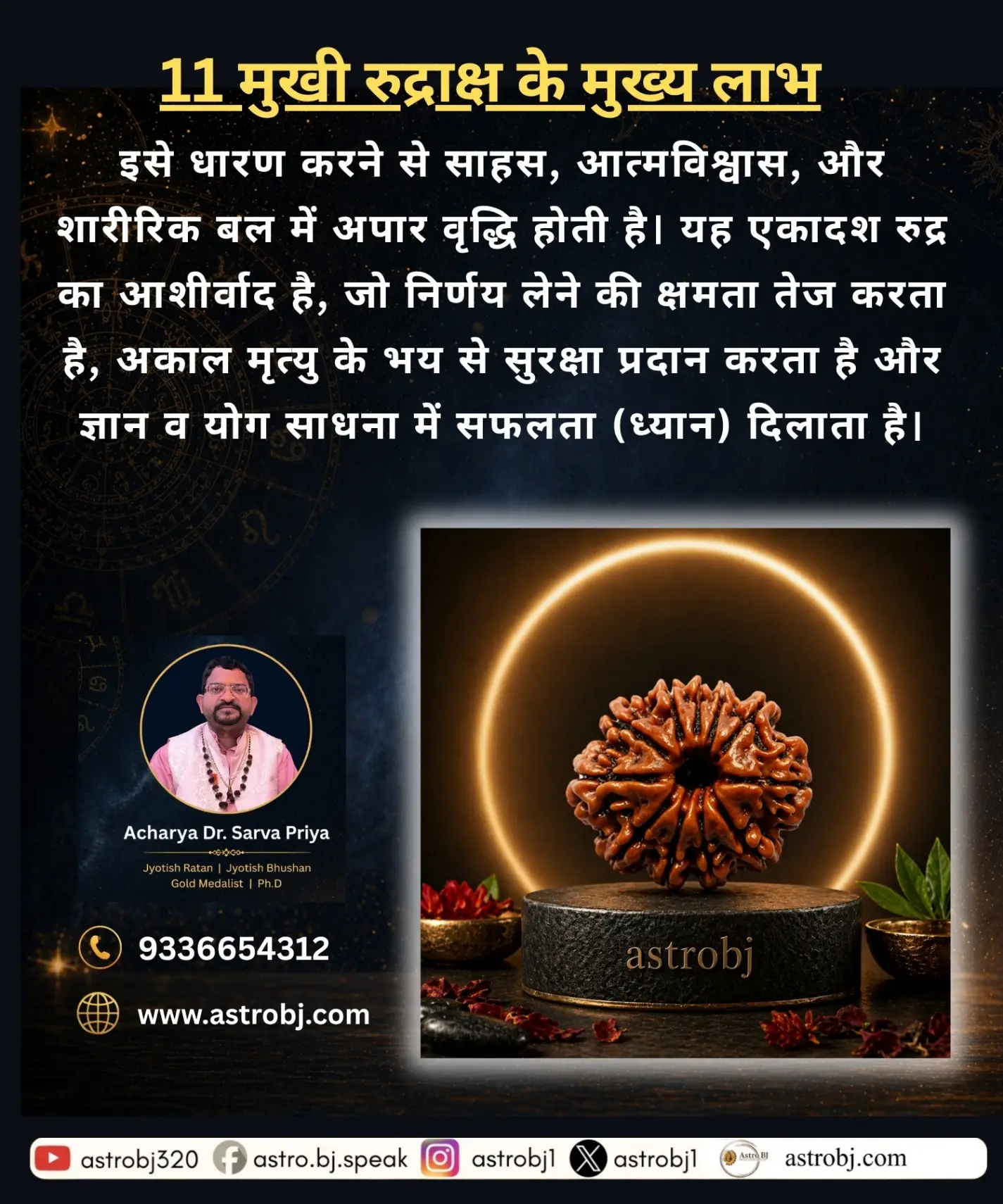 11 Mukhi Rudraksha 'Nepali' view 2