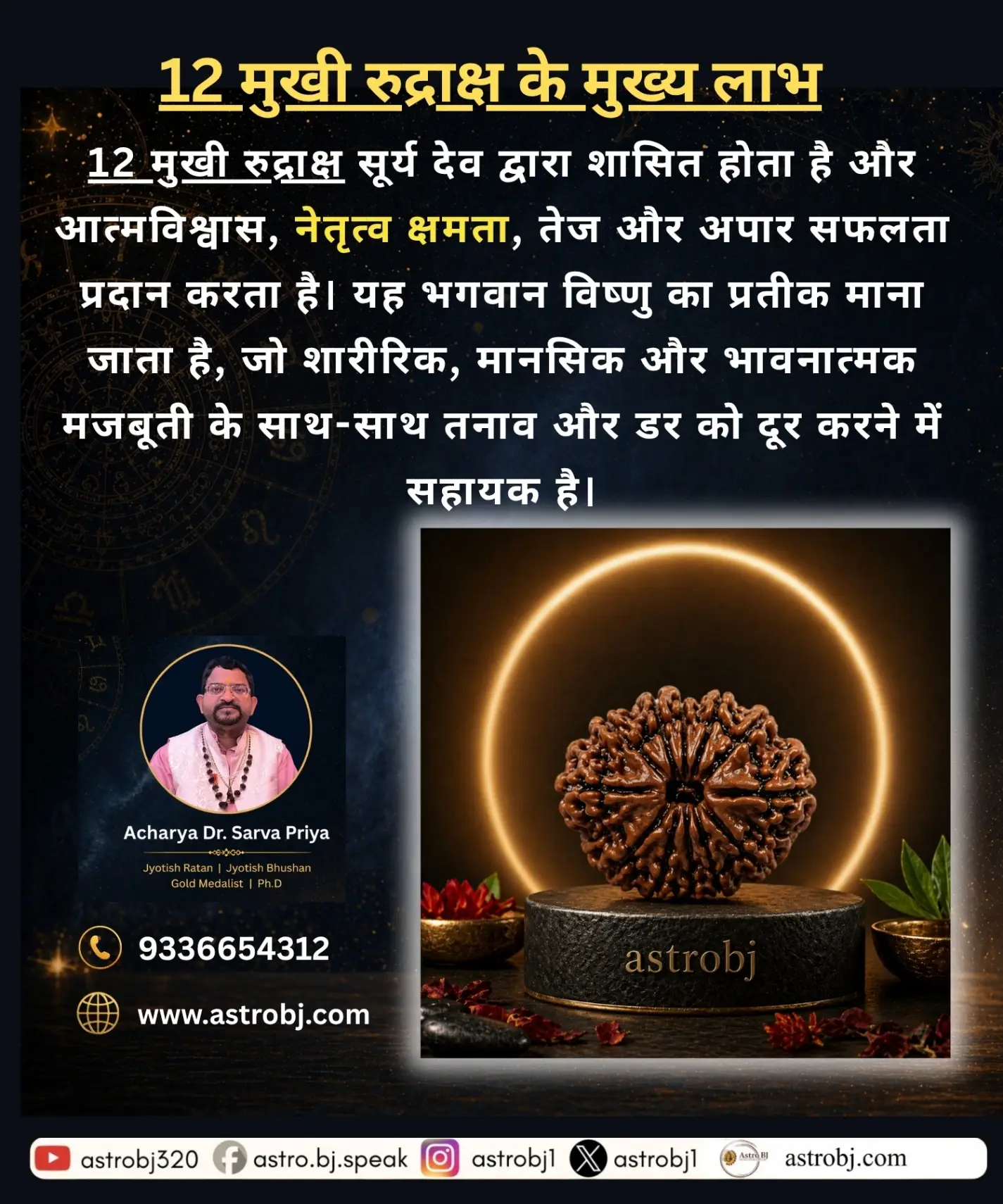 12 Mukhi Rudraksha 'Nepali' view 2