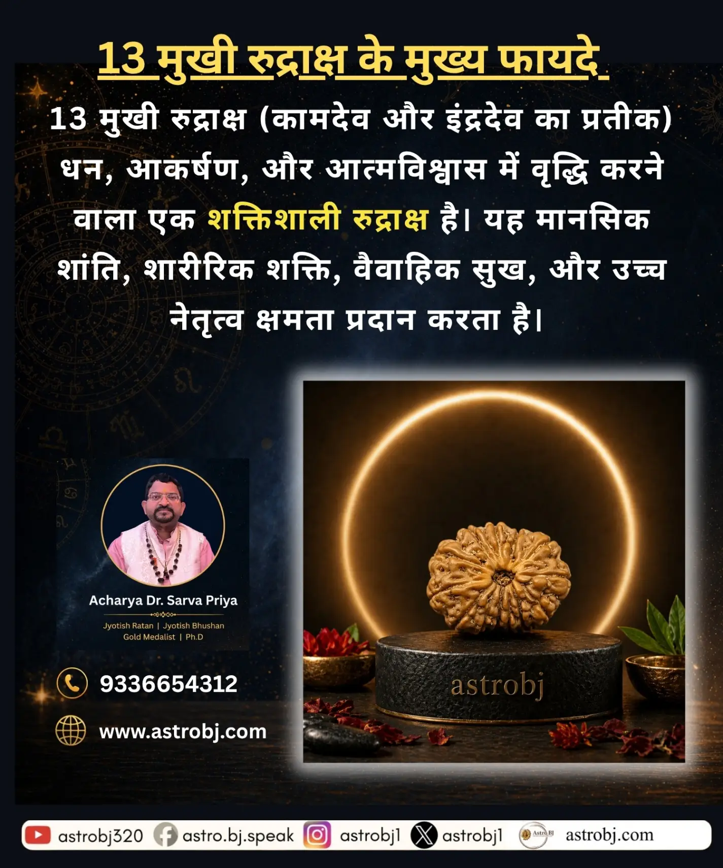 13 Mukhi Rudraksha 'Nepali' view 2