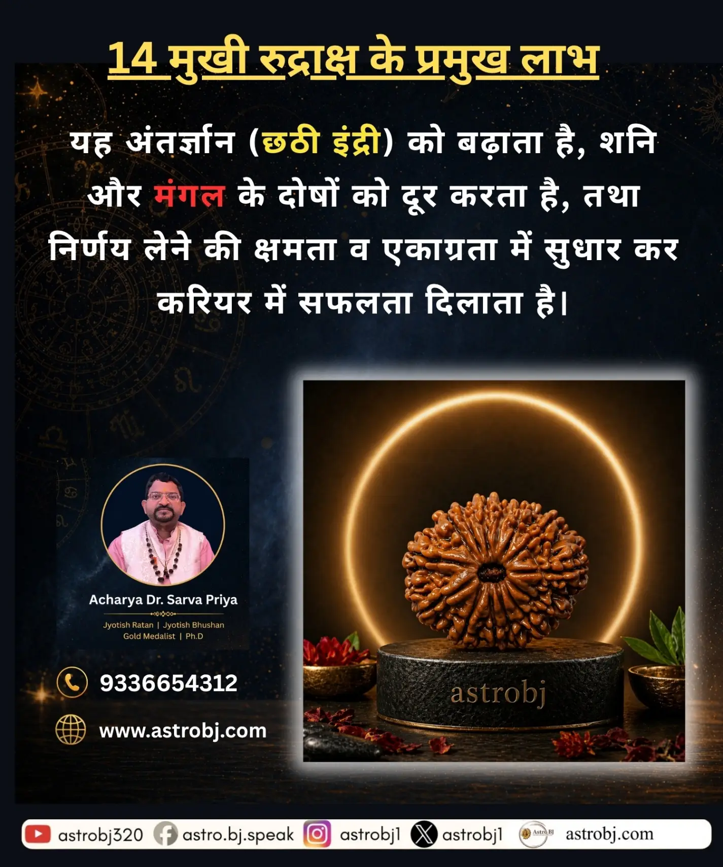 14 Mukhi Rudraksha 'Nepali' view 2