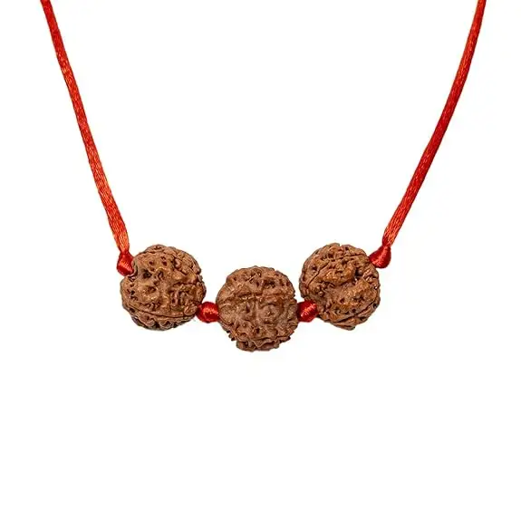 Saraswati Rudraksha Band/ Kavach view 2