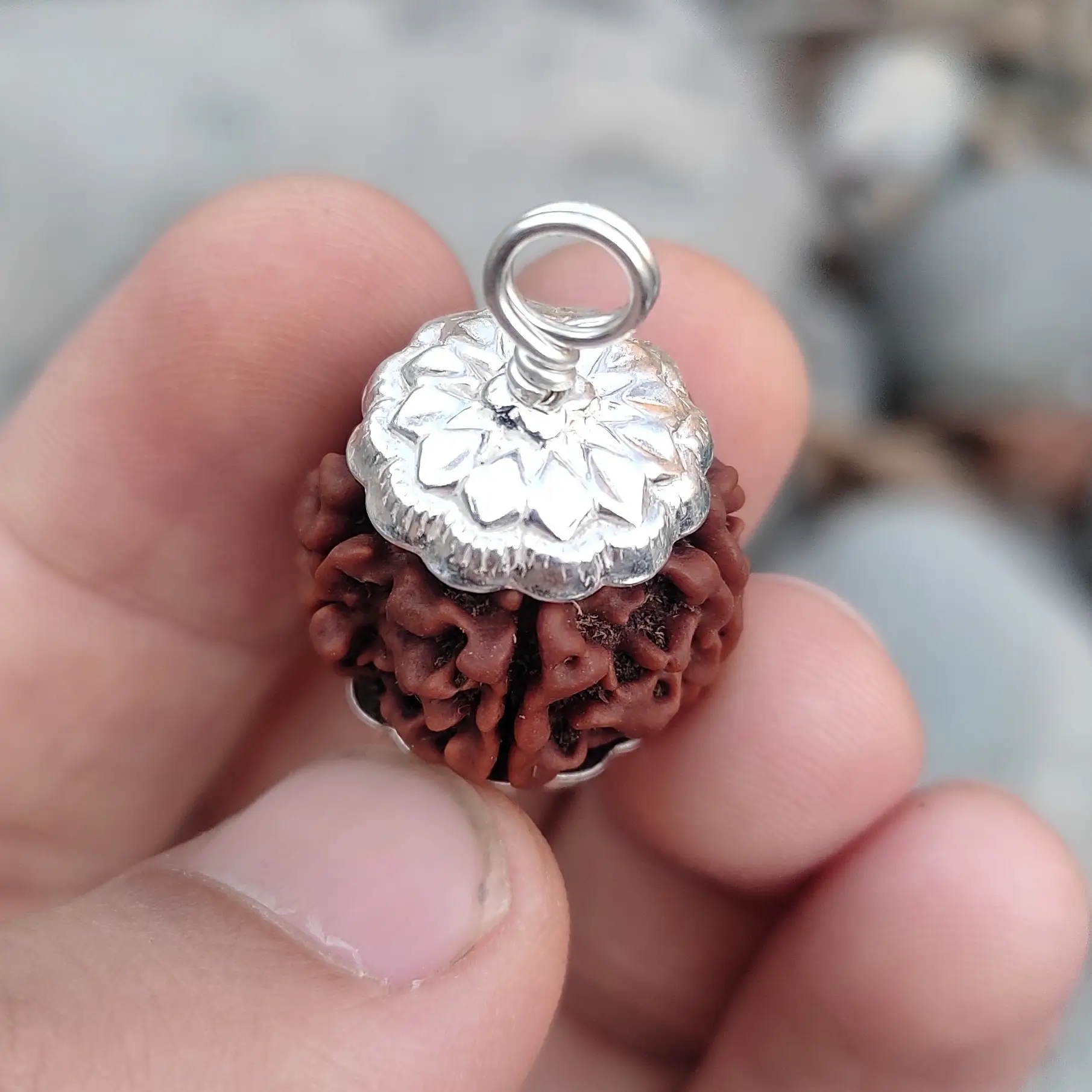 6 Mukhi Rudraksha Pendant A+++ view 2