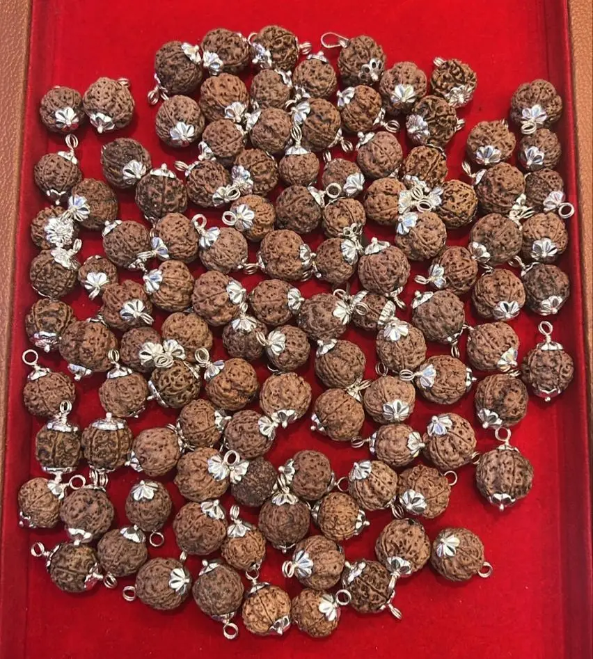 6 Mukhi Rudraksha Pendant A+++ view 3