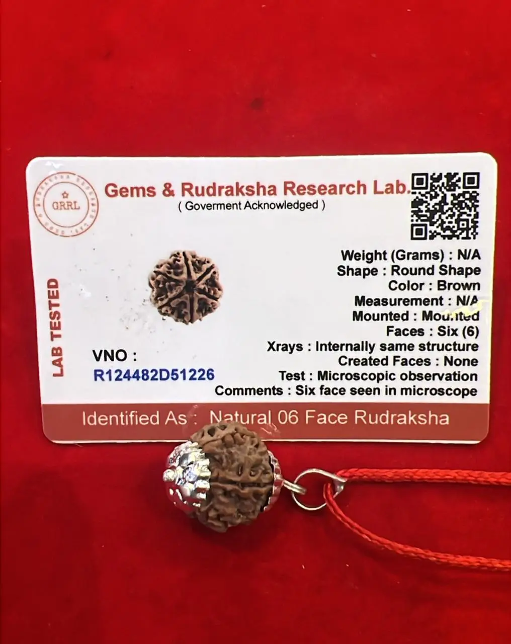 6 Mukhi Rudraksha Pendant A+++ view 4
