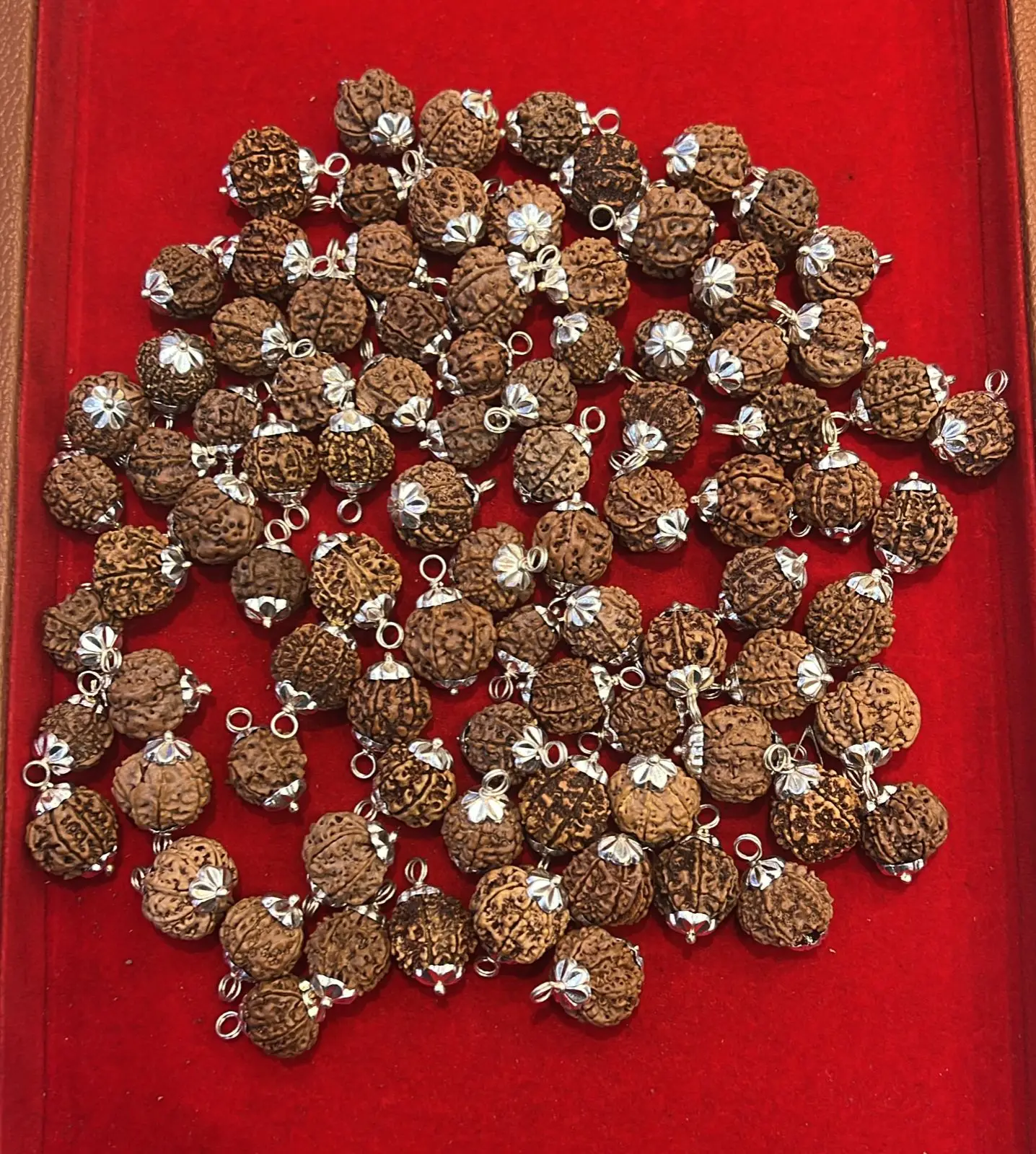 4 Mukhi Rudraksha Pendant A+++ view 3