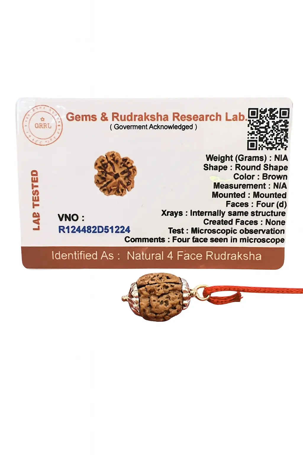 4 Mukhi Rudraksha Pendant A+++ view 4
