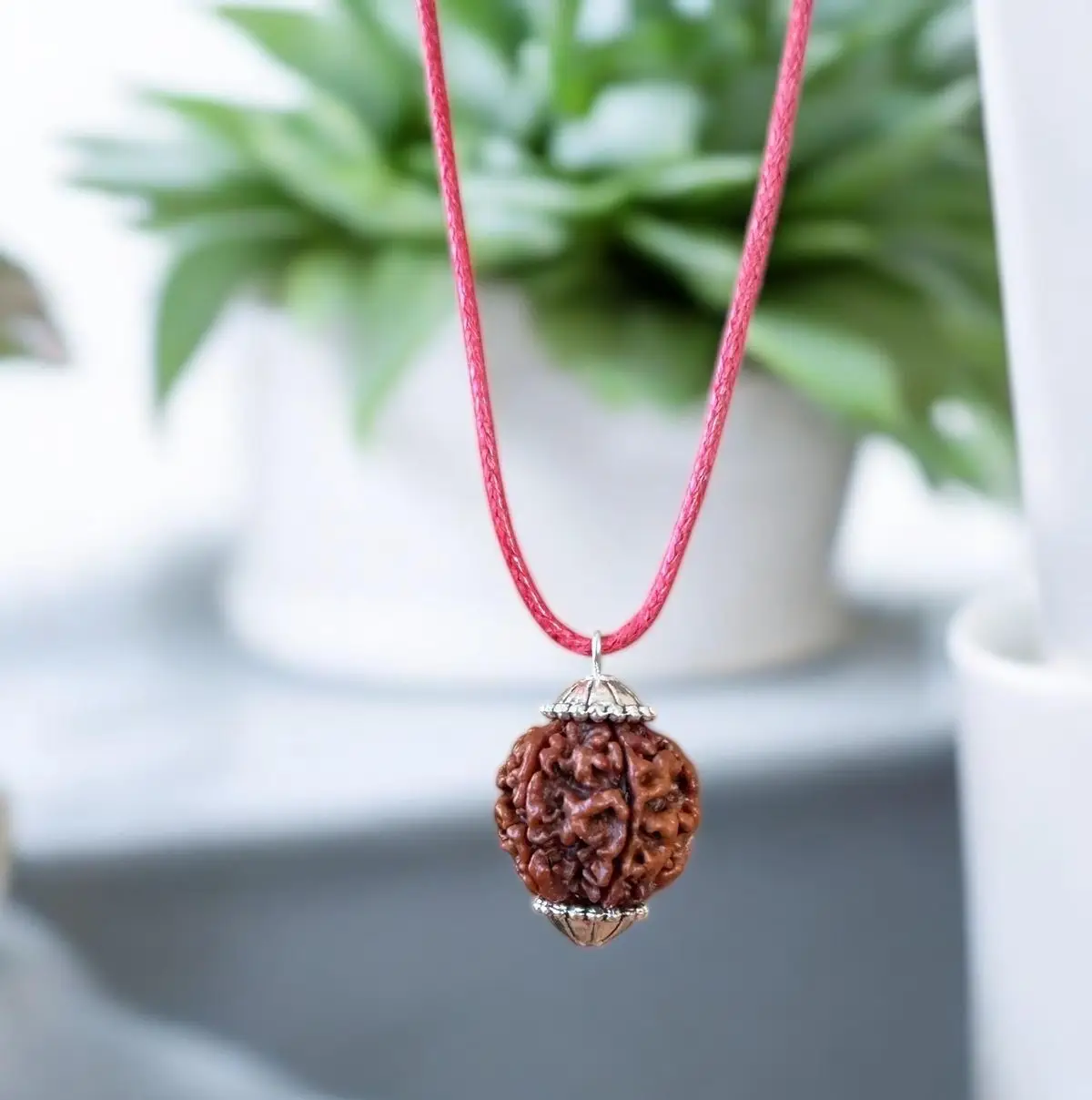 4 Mukhi Rudraksha Pendant A+++ view 5