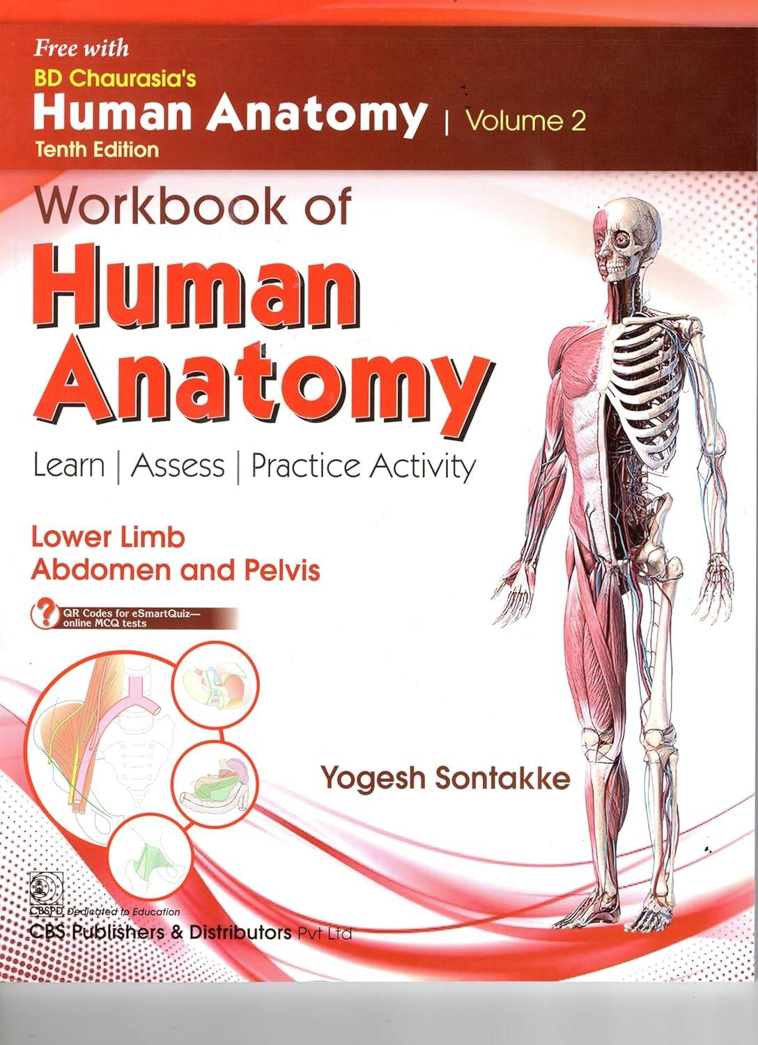 CBS Publishers BD Chaurasias Human Anatomy Volume 2 | 9789354669675 view 4