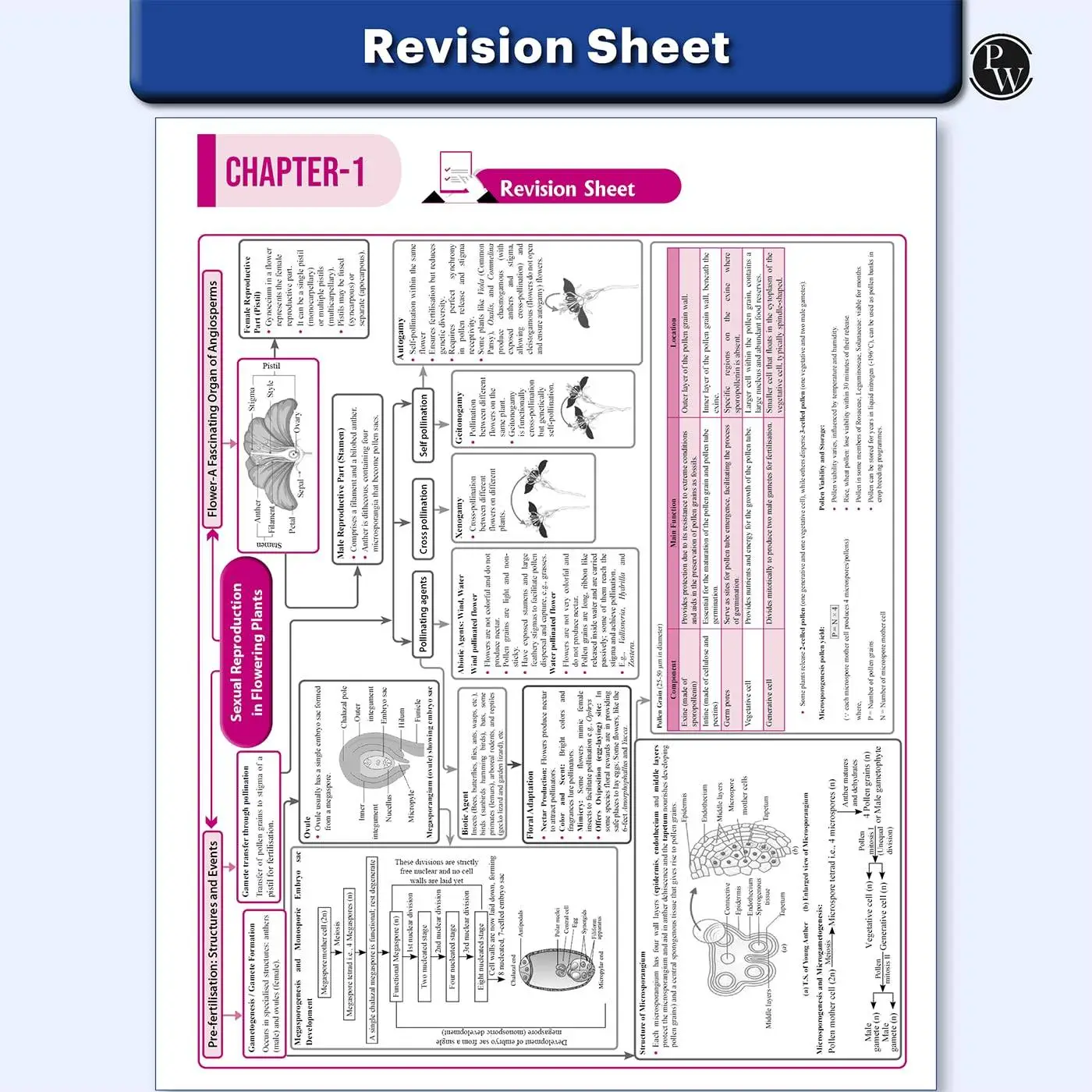 Physic Wallha CUET UG Entrance Exam Books 2026 – Biology | Chapterwise & Topicwise MCQs Question Bank (2025–2022) | 9789371531726 view 7