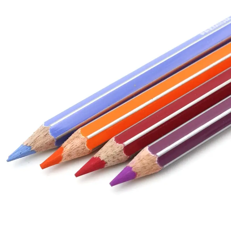 Doms Colour Pencils Flat Tin 24 Shades | 8906073772061 view 2