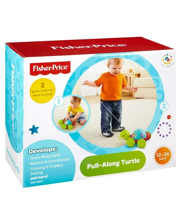 Pull-Along Turtle by Fisher-Price