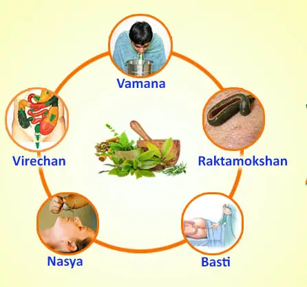 Panchakarma Therapy