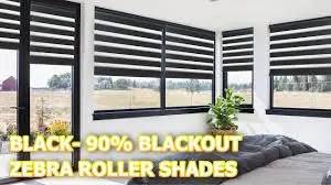 ZEBRA BLINDS view 2