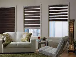 ZEBRA BLINDS view 3