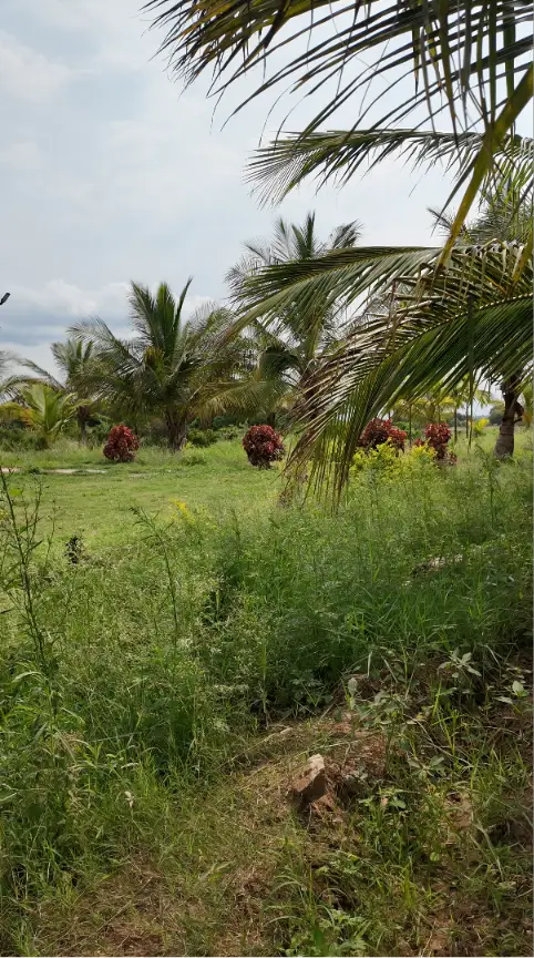 Sobagu Home Stay - Satthegala, Kollegala Road view 3