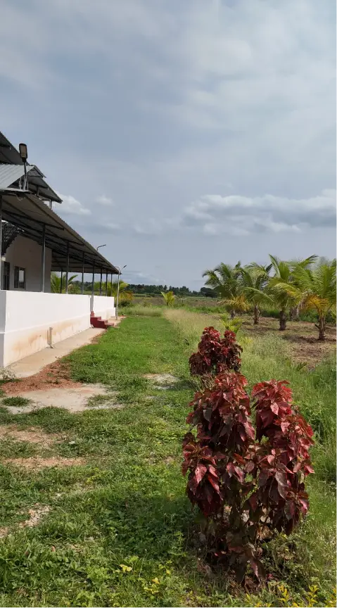 Sobagu Home Stay - Satthegala, Kollegala Road view 4