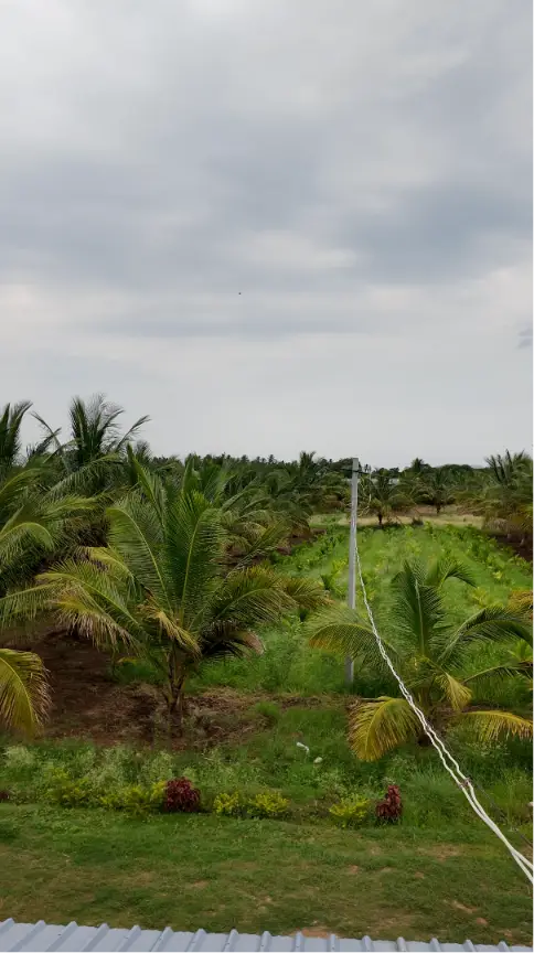 Sobagu Home Stay - Satthegala, Kollegala Road view 7