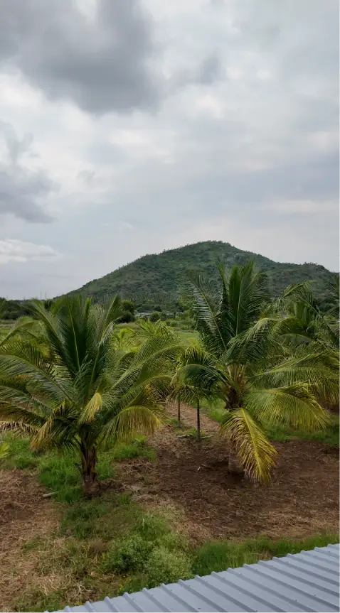 Sobagu Home Stay - Satthegala, Kollegala Road view 9