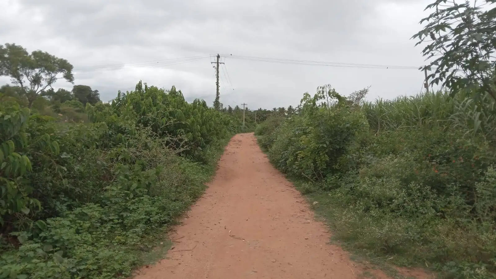 Land - Ballahalli, RT Nagar view 2