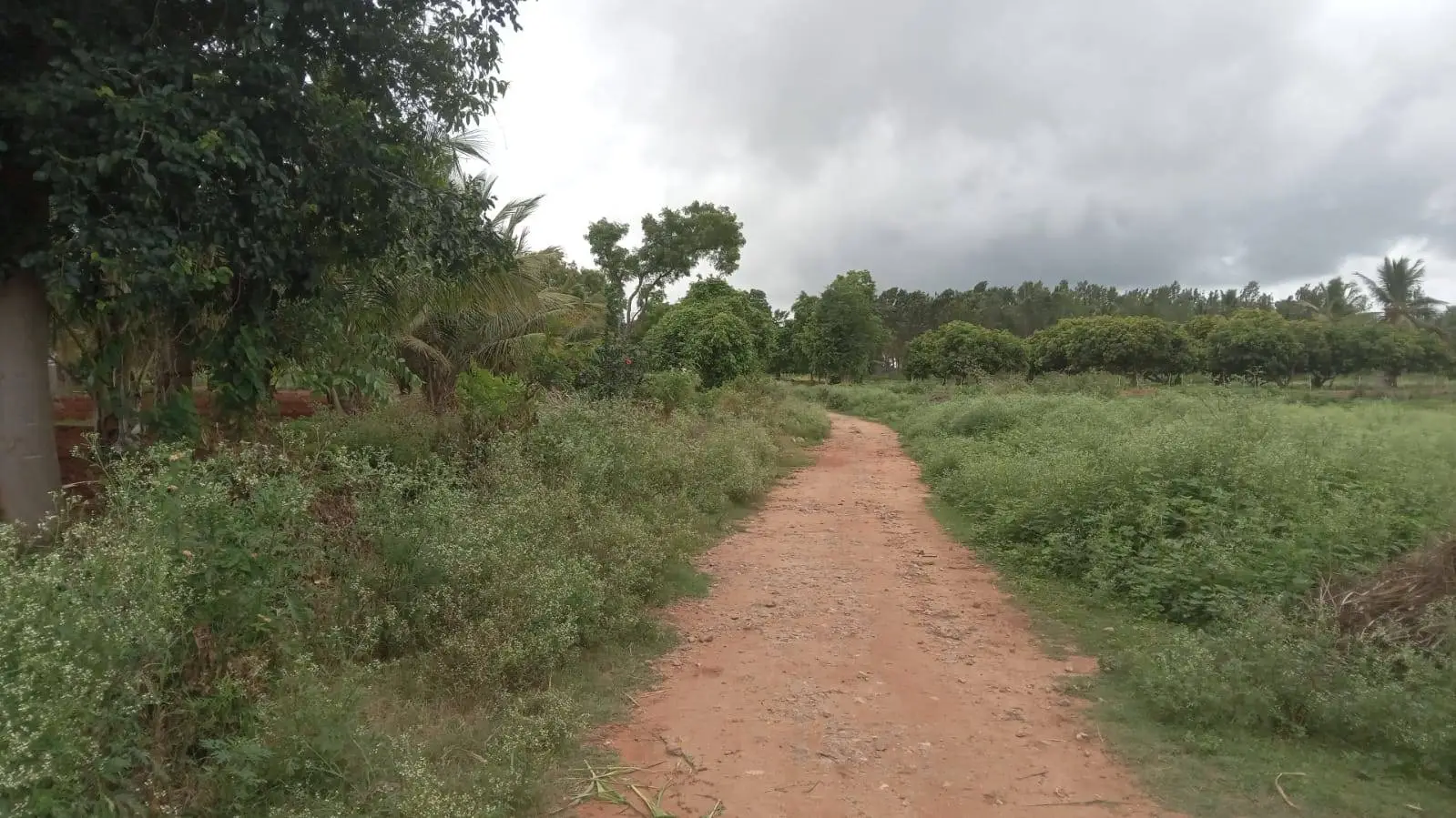 Land - Ballahalli, RT Nagar view 3