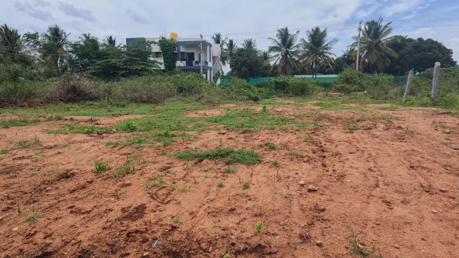 Yesh Farm's,  Jattihundi view 2
