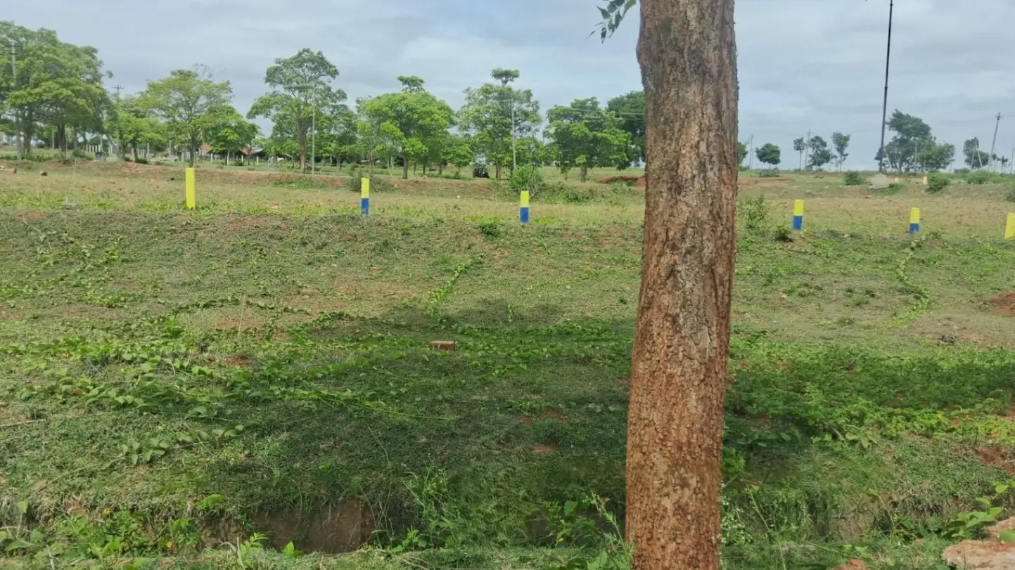 Anandasagara, Elvala view 2