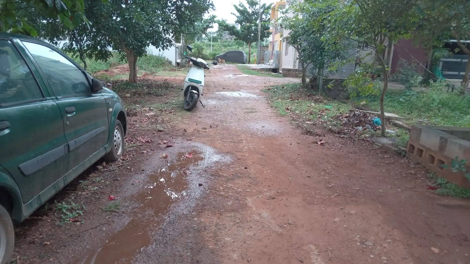 Susheela Shankar, Mysuru view 2