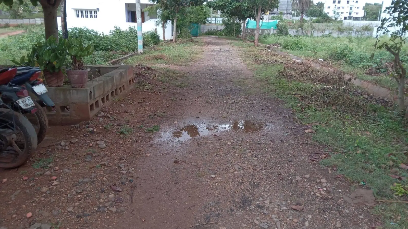 Susheela Shankar, Mysuru view 3
