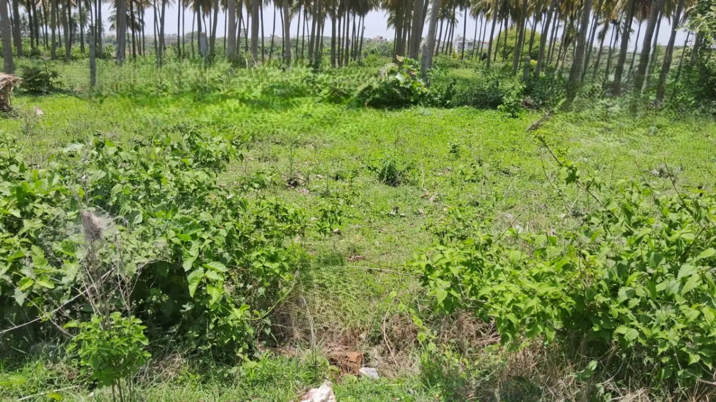Thimmaiah Enclave, RT Nagara view 2