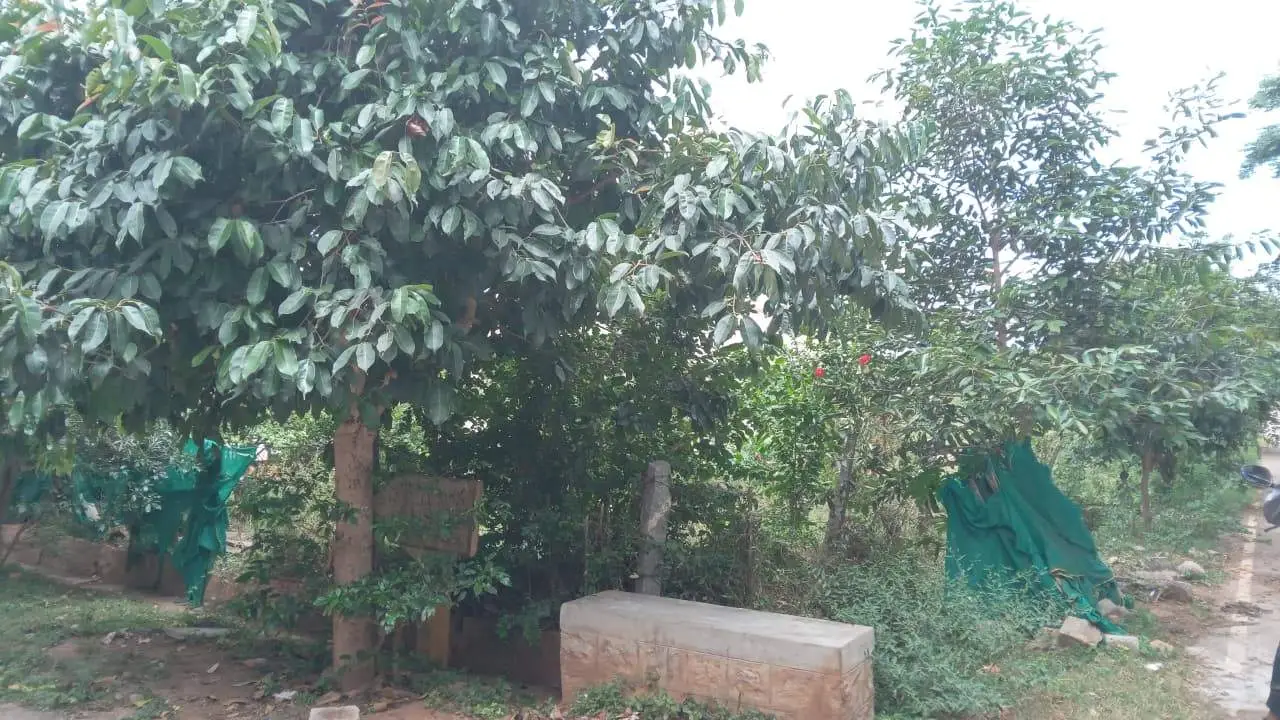 Kandaya Layout, Dattagalli view 4