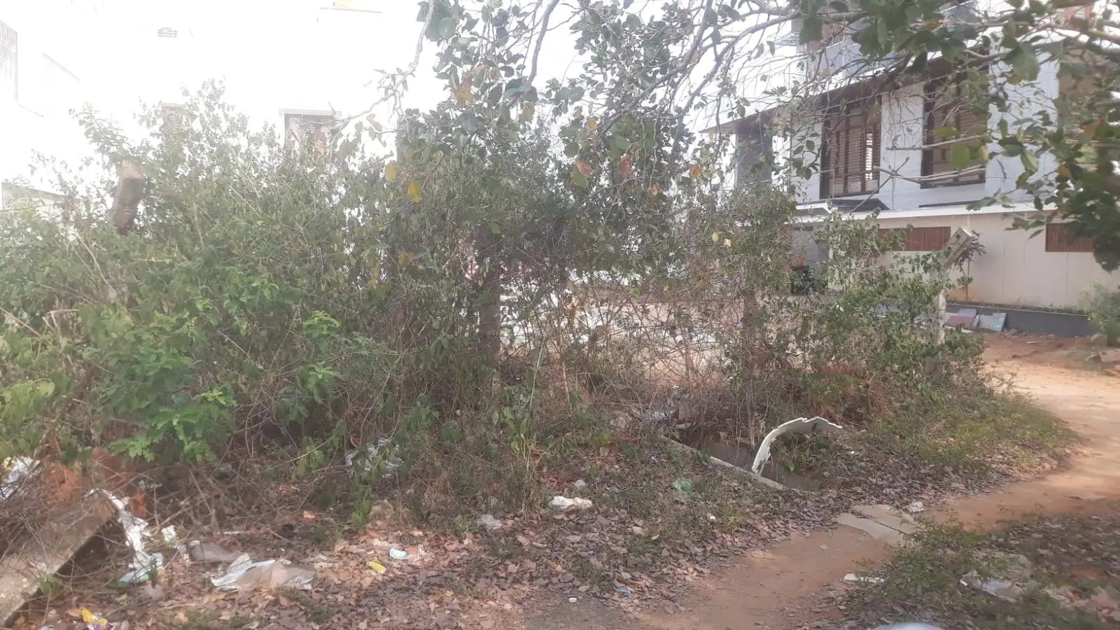(2026OCN099) Roopa Nagar view 2