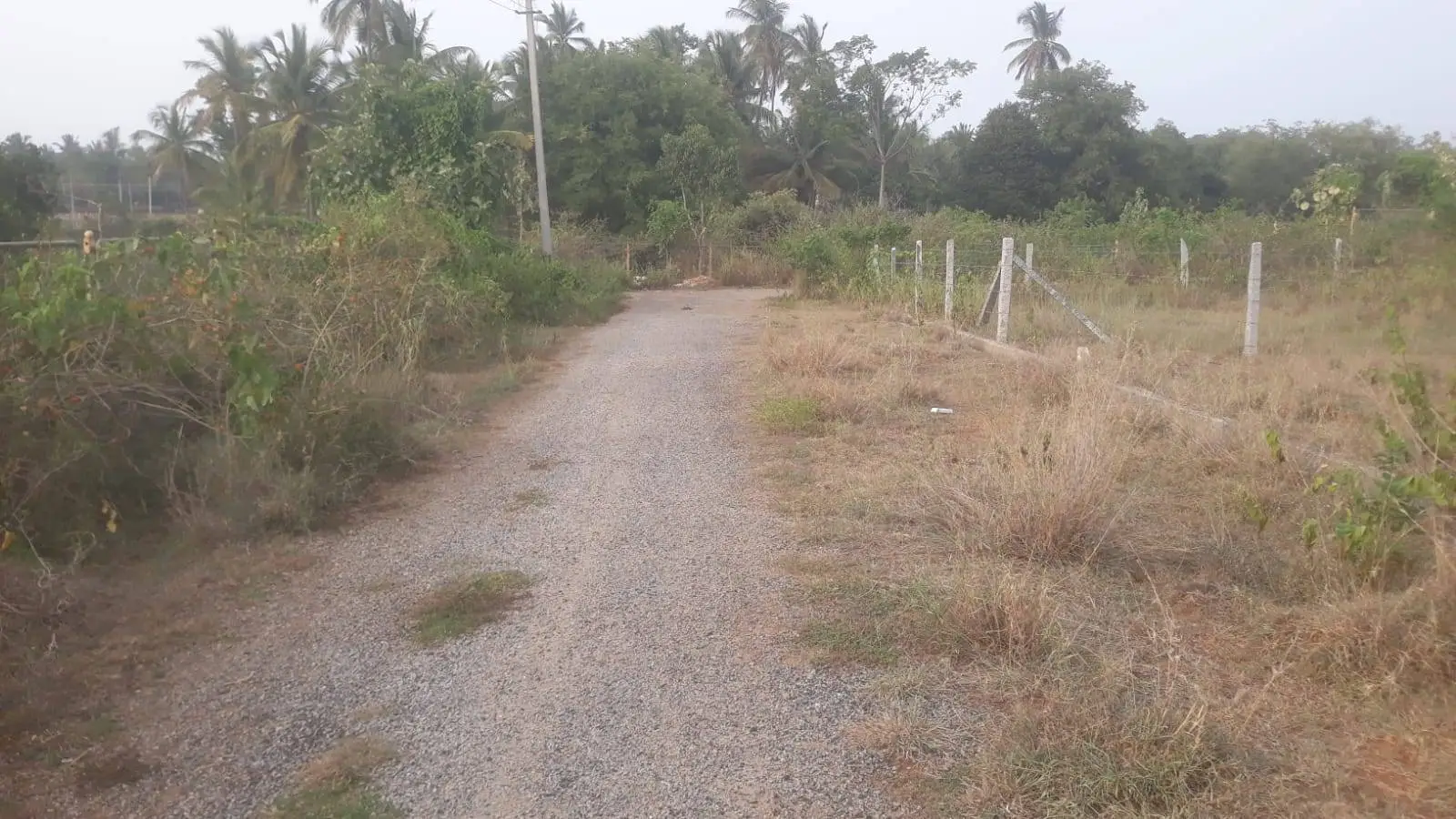 (2026OCN104) Aaradhya Enclave, Viajayanagara view 2