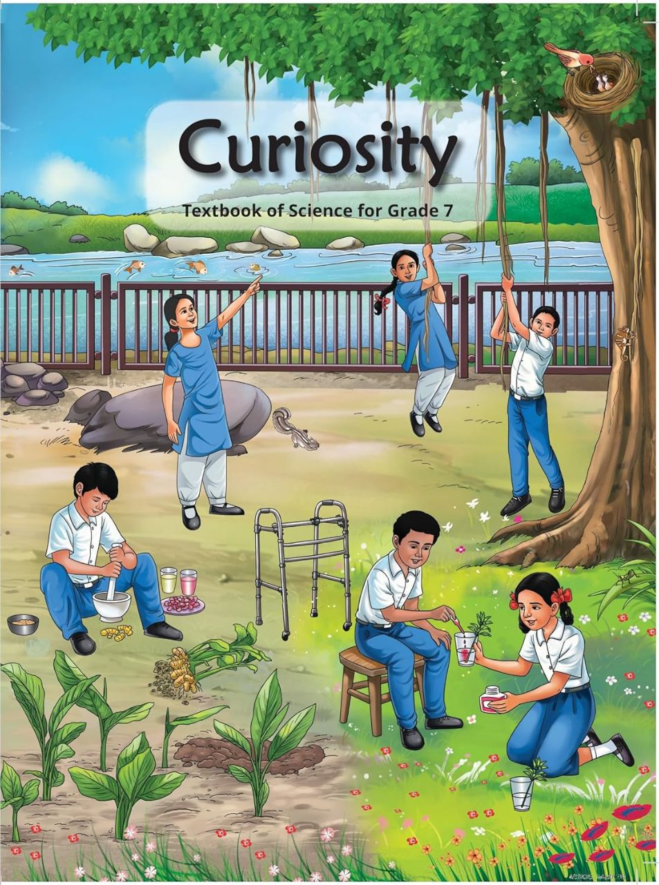 NCERT 777 Curiosity Class 7