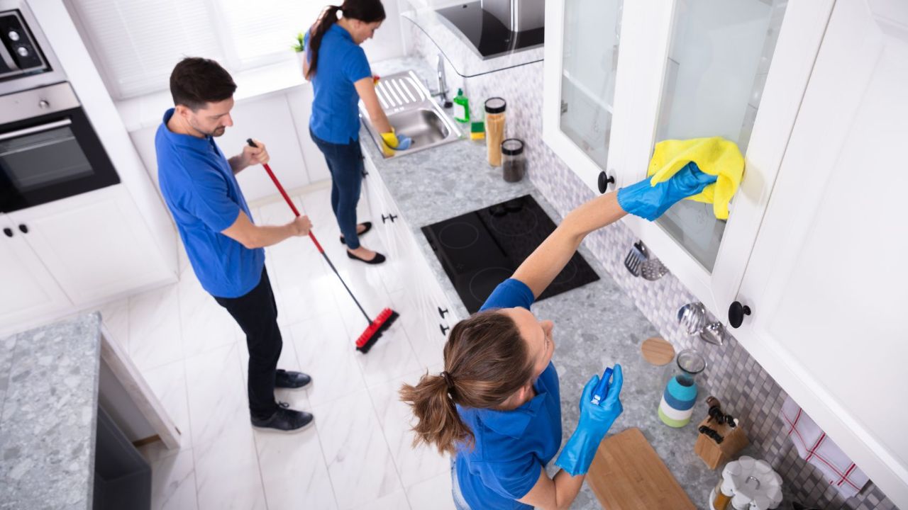 Domestic Maid/ Servants Male And Female view 4