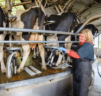 Dairy Farm Workers view 2