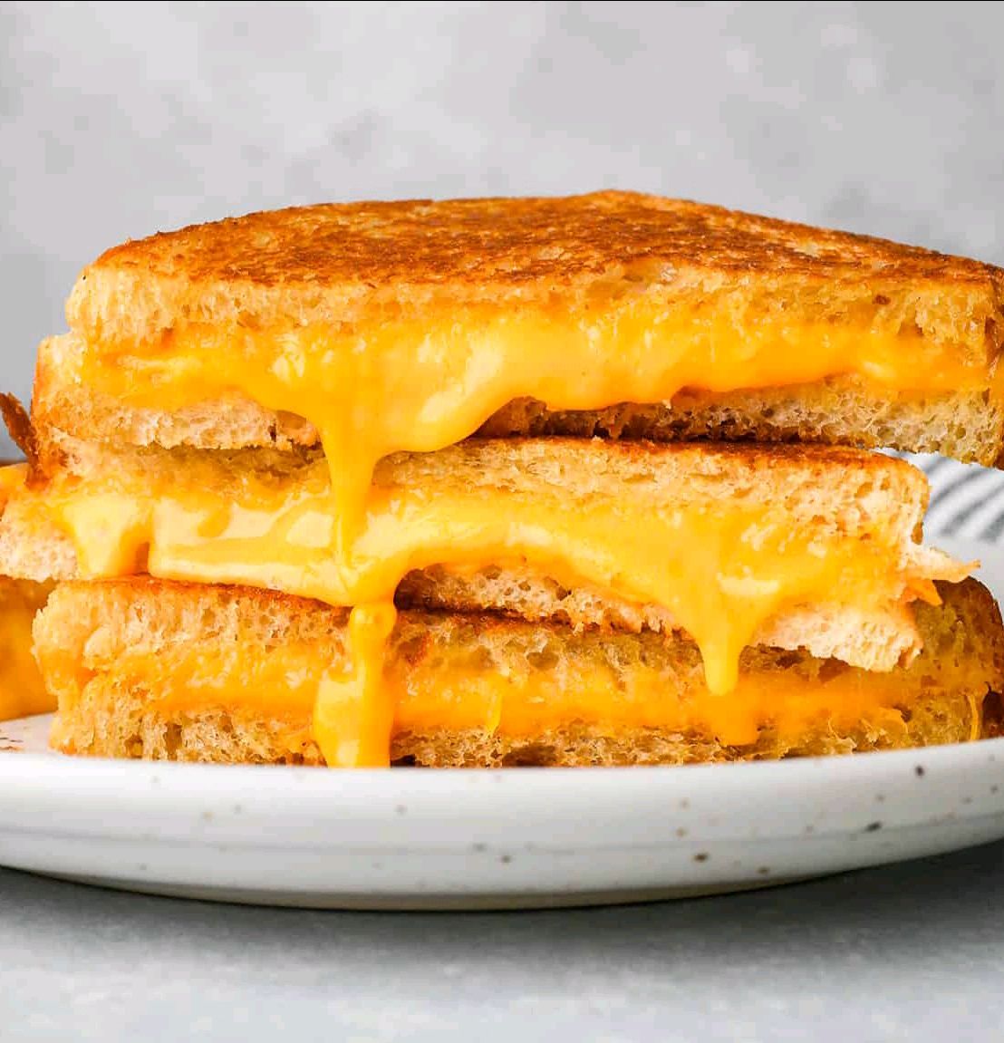 Cheese Sandwich