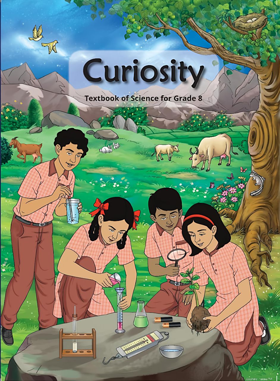 NCERT 877 Curiosity Class 8