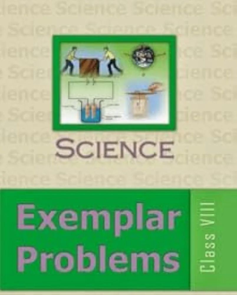 Science Exemplar Problems Class VIII N13070